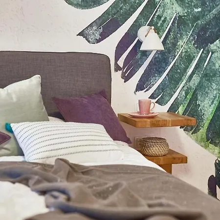 Fern * Maribor